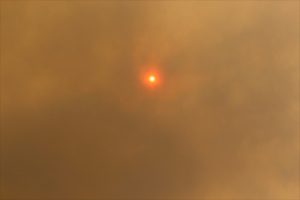 Australian Bushfires