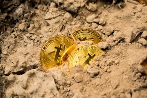 Bitcoin Investor Challenges