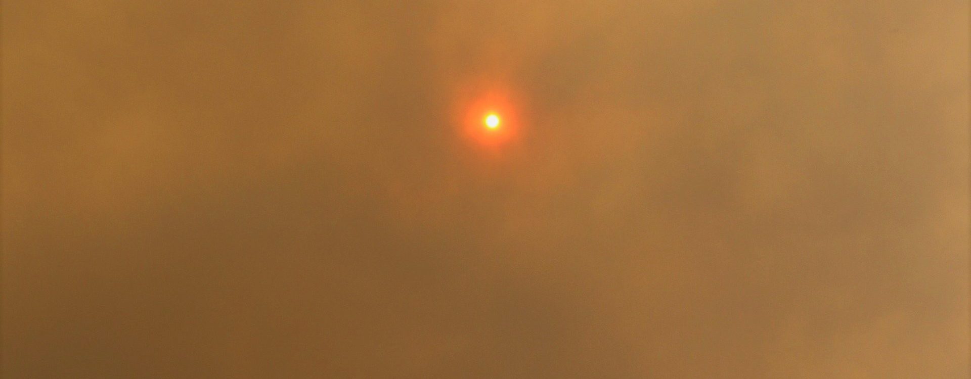 Australian Bushfires