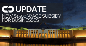 Government Wage Subsidy Businesses